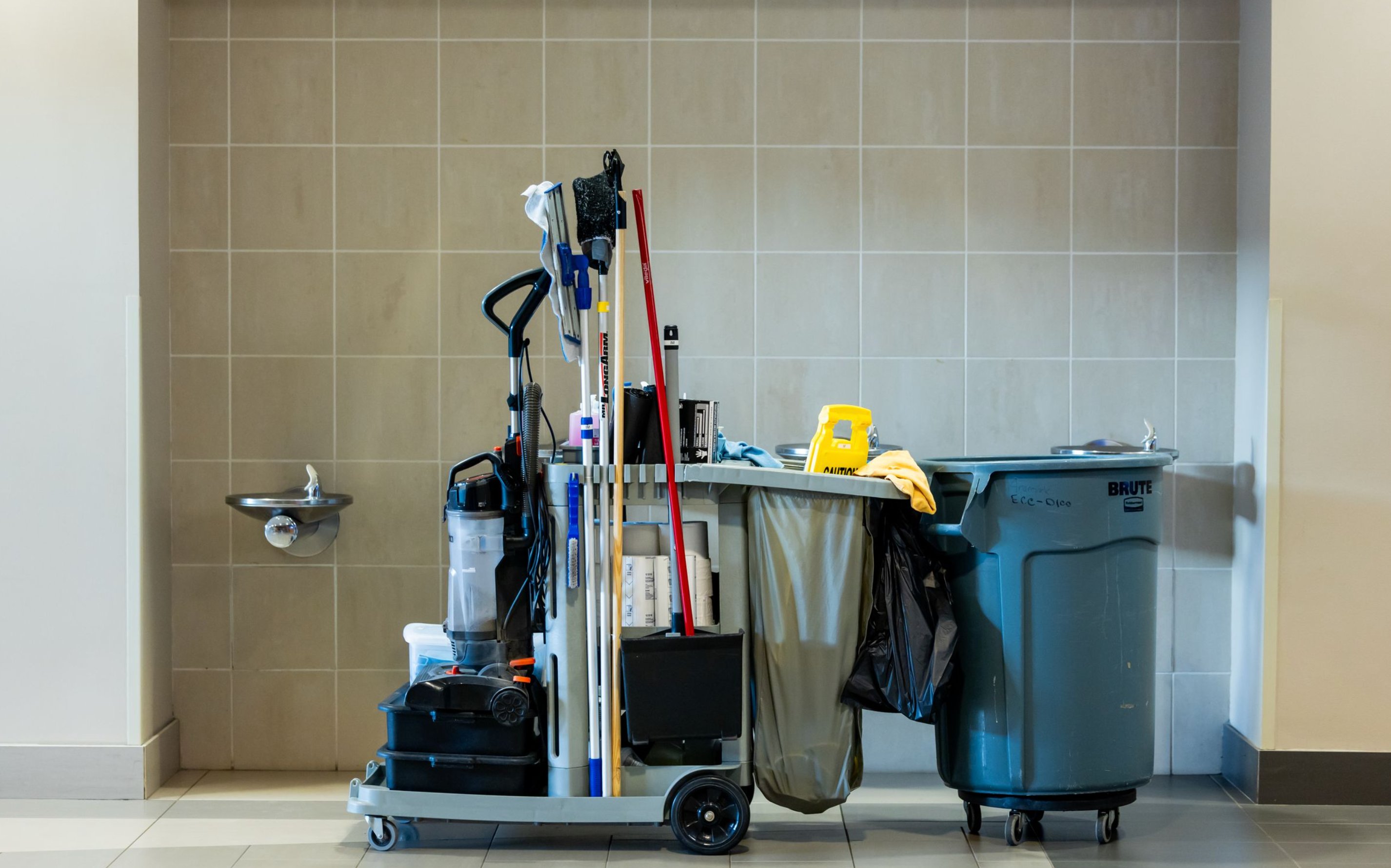 Professional cleaning team